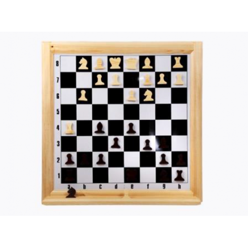 Шахматы настенные демонстрационные Н-2